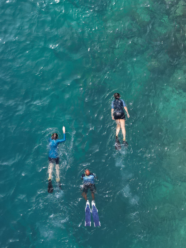Neverland Swim Challenge
